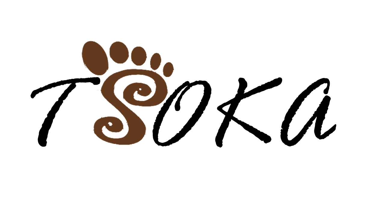 TSOKA LOGO